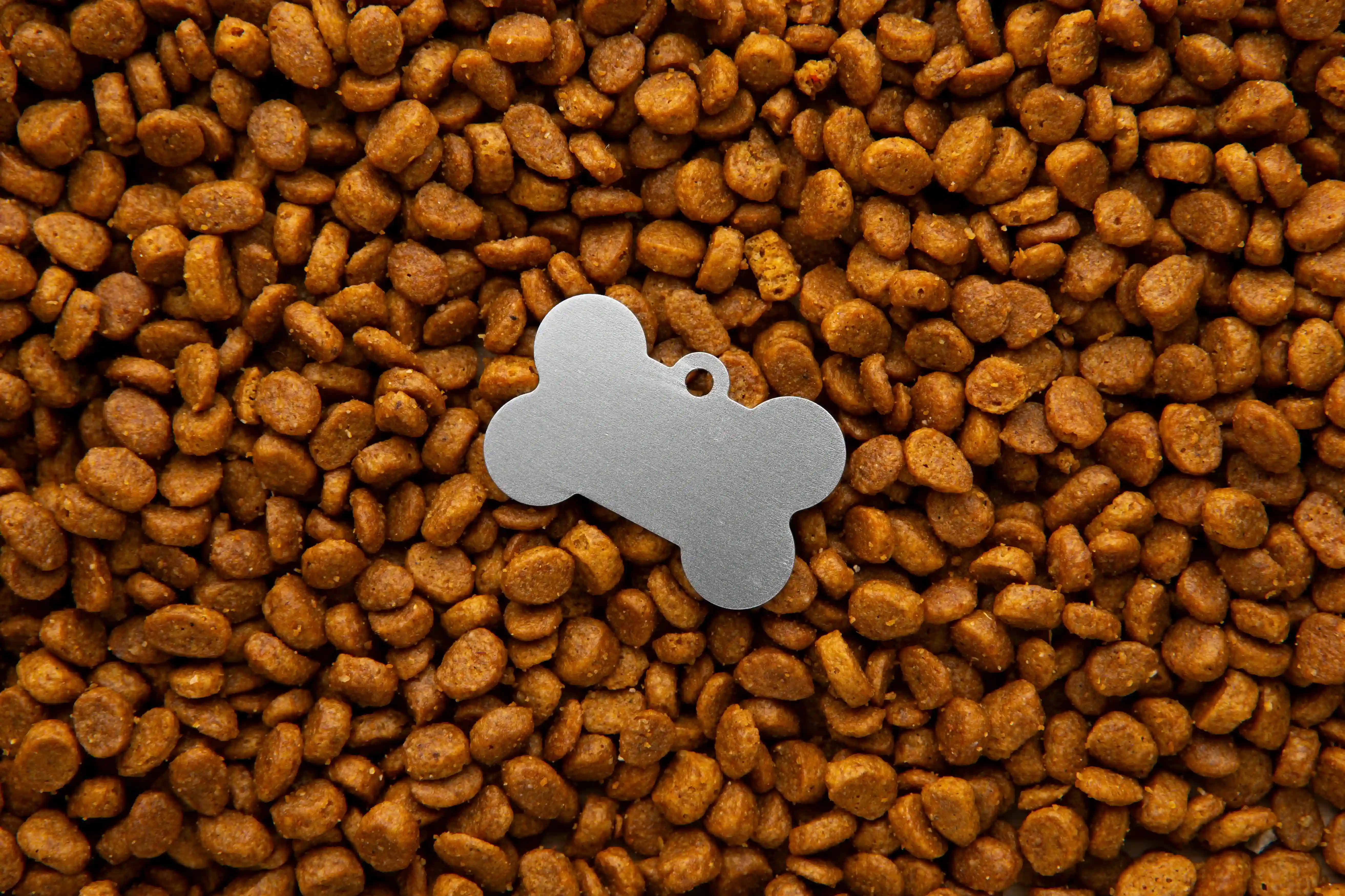 Nuvem3 PDV para Casa de Ra&ccedil;&atilde;o: mais controle, agilidade e vendas para o seu neg&oacute;cio