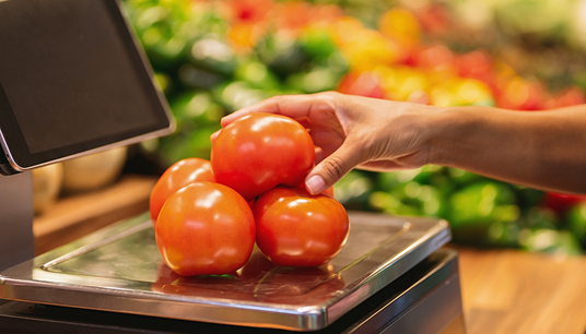 O que &eacute; um sistema para Hortifruti?